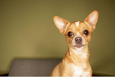 Neil Druckmann：顽皮狗将不再制作《神秘海域》